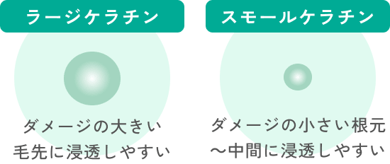 ラージケラチン、スモールケラチン