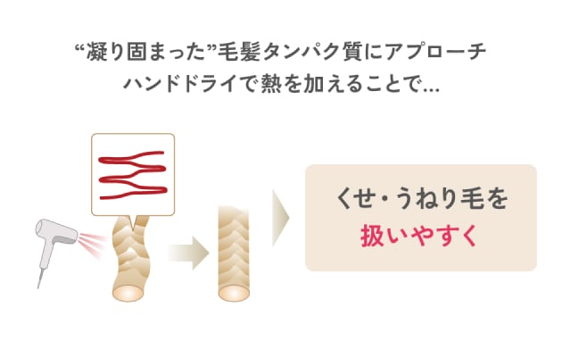 凝り固まった毛髪タンパク質にアプローチ ハンドドライで熱を加えることでくせ・うねり毛を扱いやすく