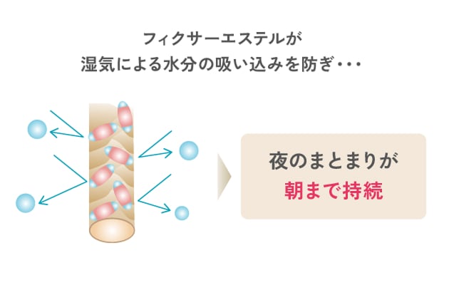 フィクサーエステルが湿気による水分の吸い込みを防ぎ夜のまとまりが朝まで持続