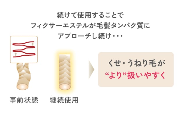 続けて使用することでフィクサーエステルが毛髪タンパク質にアプローチし続けくせ・うねり毛がより扱いやすく