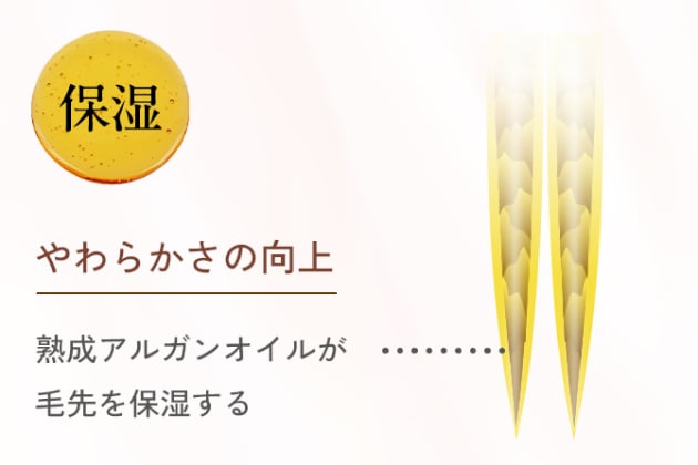 保湿 やわらかさの向上 熟成アルガンオイルが毛先を保湿する