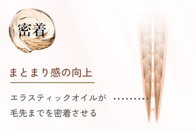 密着 まとまり感の向上 エラスティックオイルが毛先までを密着させる