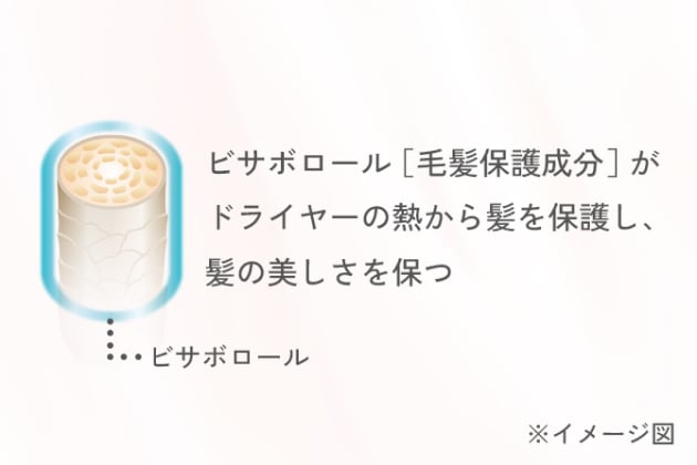 ビサボロール[毛髪保護成分]がドライヤーの熱から髪を保護し、髪	の美しさを保つ ※イメージ図
