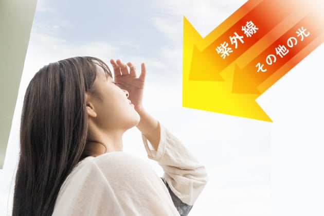 エルジューダ サンプロテクト｜【公式】Elujuda （エルジューダ