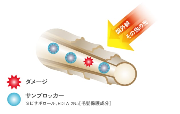 エルジューダ サンプロテクト｜【公式】Elujuda （エルジューダ